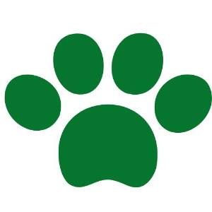 Corbett Jungle Safari Booking 